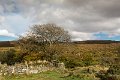 the way onto the moors